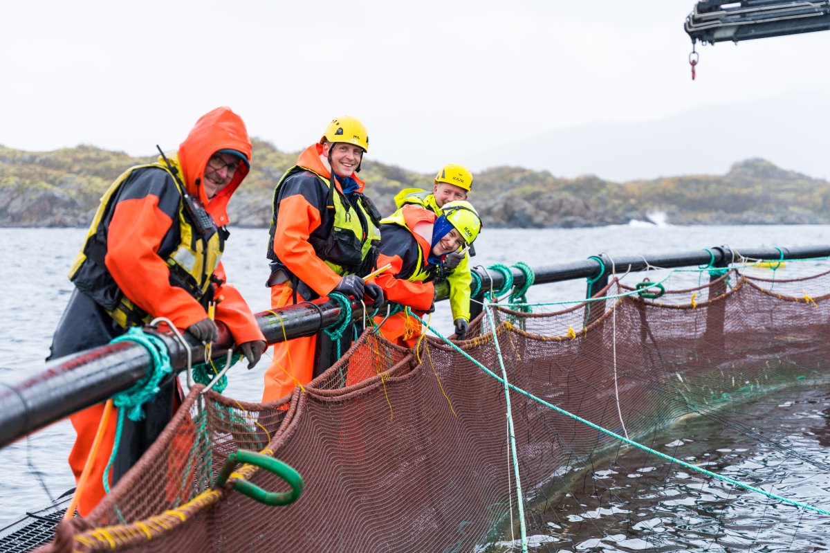 Team working on a fish farm